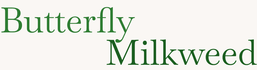 butterfly milkweed plant